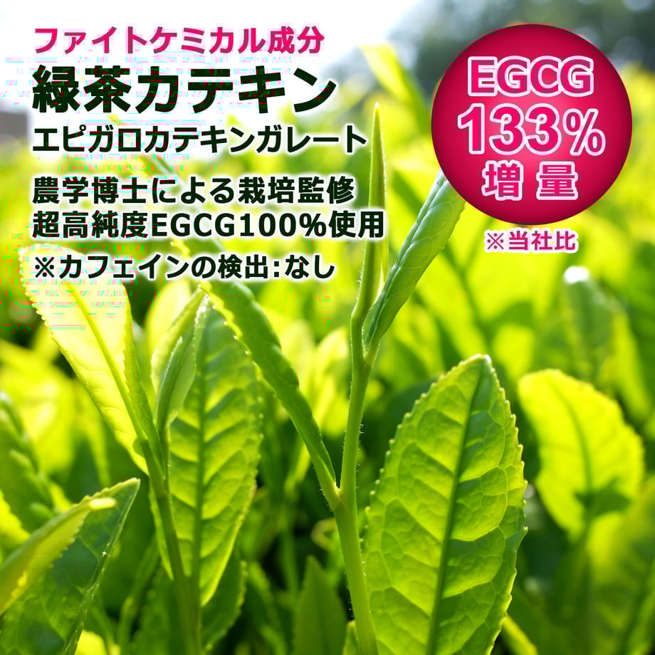 5f79d48507e1636fd131299a