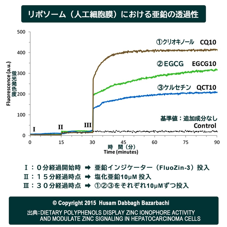 5f79d48507e1636fd131299a
