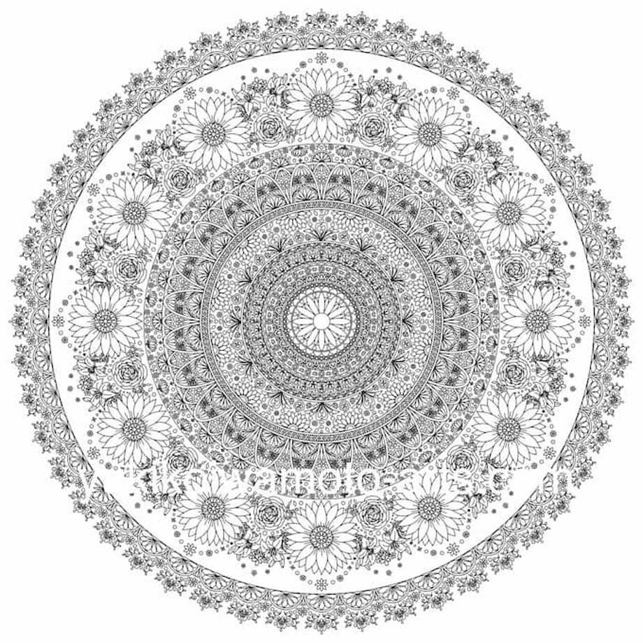 63b674d81090893ec446806d