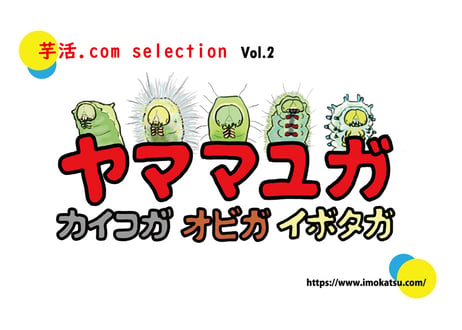芋活.com selection Vol.2　ヤママユガ