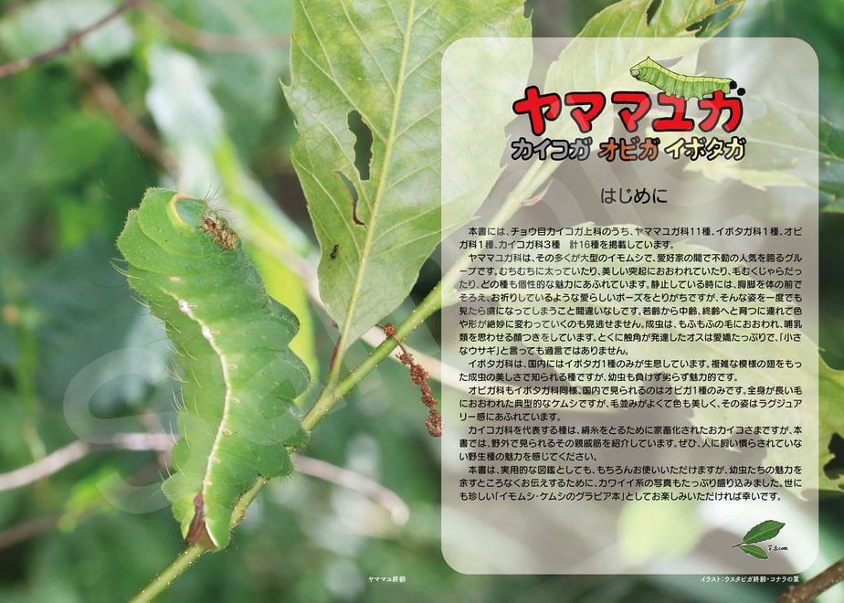 6865e09a2dae183f26e12888
