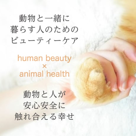 犬猫と一緒に暮らす人のためのハンドクリーム＆リップクリームセット【ギフトボックス入り・ポスト便】