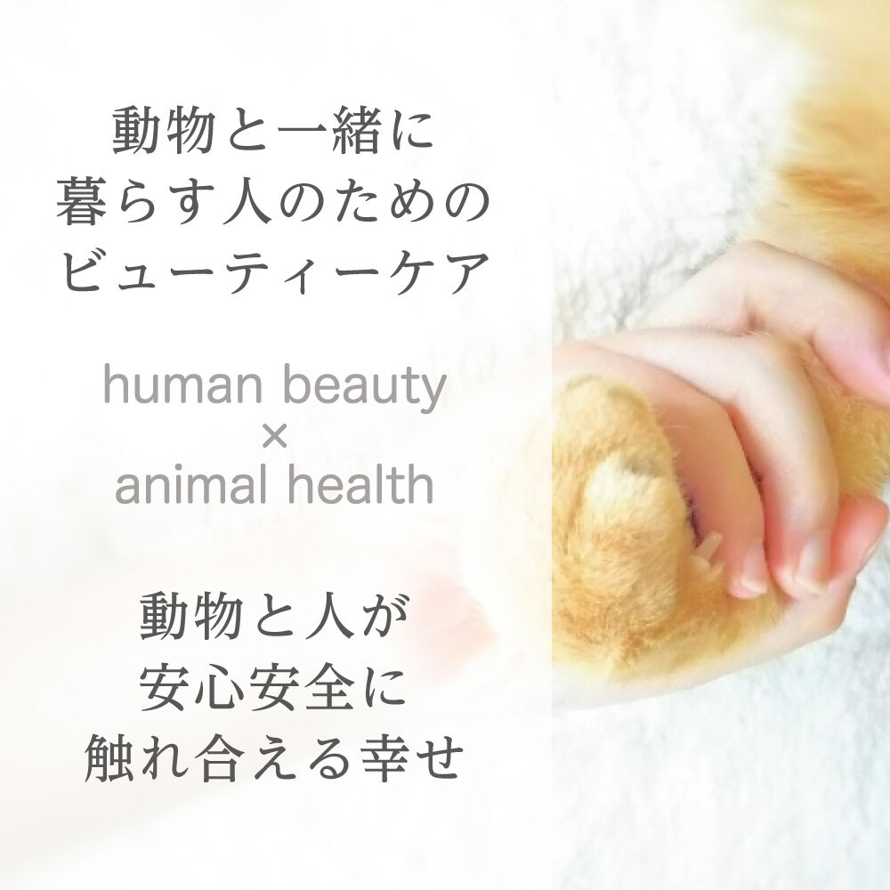 ねこ　ボディミルク2点 000000006433_bsMKc63.jpg