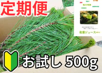 【🔄 定期便｜🔰お試し】松葉 500g｜天然・無農薬 南部赤松（岩手県田野畑村）産地直送