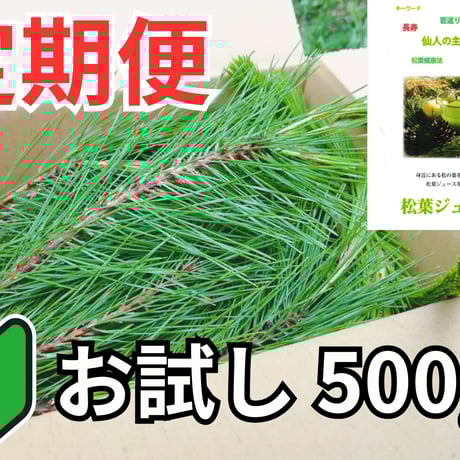 松葉サイダー | STORES