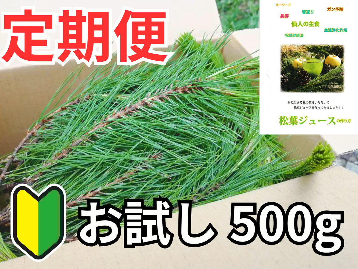 🔄 定期便｜🔰お試し】松葉 500g｜天然・無農薬 南部赤松（岩手県