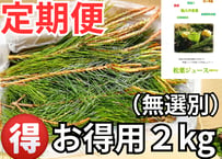 【🔄 定期便｜🉐 お得用・無選別】松葉 2kg｜天然・無農薬 南部赤松（岩手県田野畑村）産地直送