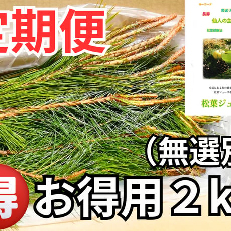 松葉ジュース | STORES