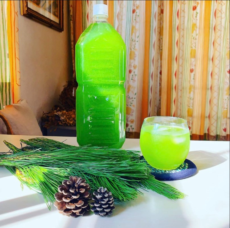 ⭐一番人気】松葉1kg｜天然・無農薬 南部赤松（岩手県田野畑村）産地