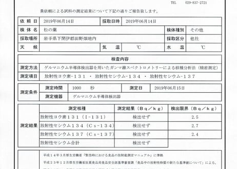 【🔄 定期便｜🔰お試し】松葉 500g｜天然・無農薬 南部赤松（岩手県田野畑村）産地直送
