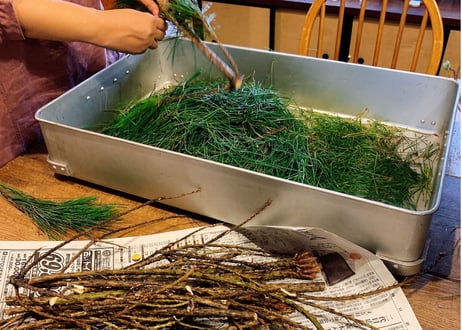 仙人のおきにいり「松葉茶」 Pine Needle Tea