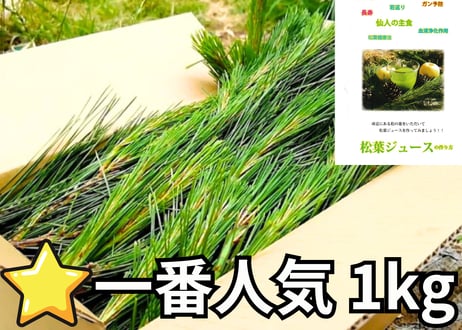 【⭐一番人気】松葉1kg｜天然・無農薬 南部赤松（岩手県田野畑村）産地直送