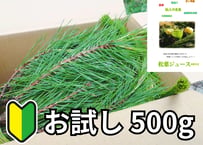 【🔰お試し】松葉 500g｜天然・無農薬 南部赤松（岩手県田野畑村）産地直送
