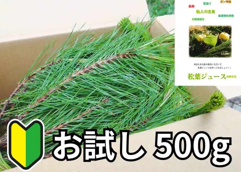 🔰お試し】松葉 500g｜天然・無農薬 南部赤松（岩手県田野畑村）産地
