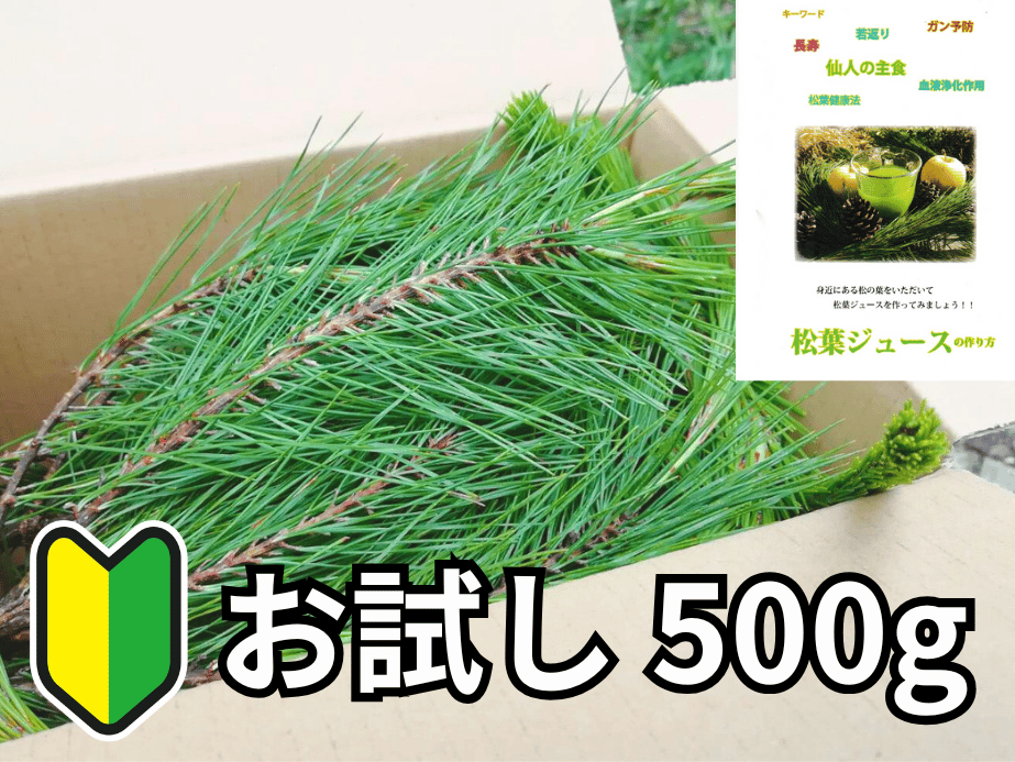 🔰お試し】松葉 500g｜天然・無農薬 南部赤松（岩手県田野畑村）産地