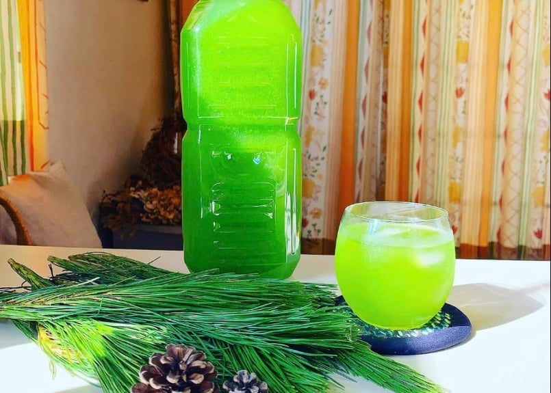 🔰お試し】松葉 500g｜天然・無農薬 南部赤松（岩手県田野畑村）産地