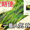 ใ๐ ๅฎๆไพฟ๏ฝโญไธ็ชไบบๆฐใๆพ่ 1kg๏ฝๅคฉ็ถใป็ก่พฒ่ฌ ๅ้จ่ตคๆพ๏ผๅฒฉๆ็็ฐ้็ๆ๏ผ็ฃๅฐ็ด้