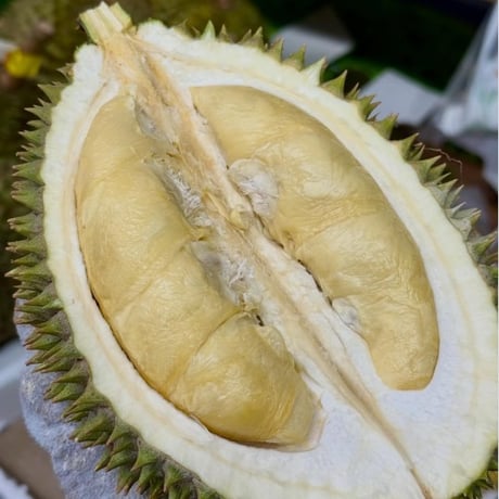 マレーシア産　完熟生ドリアン　"裏"雷神