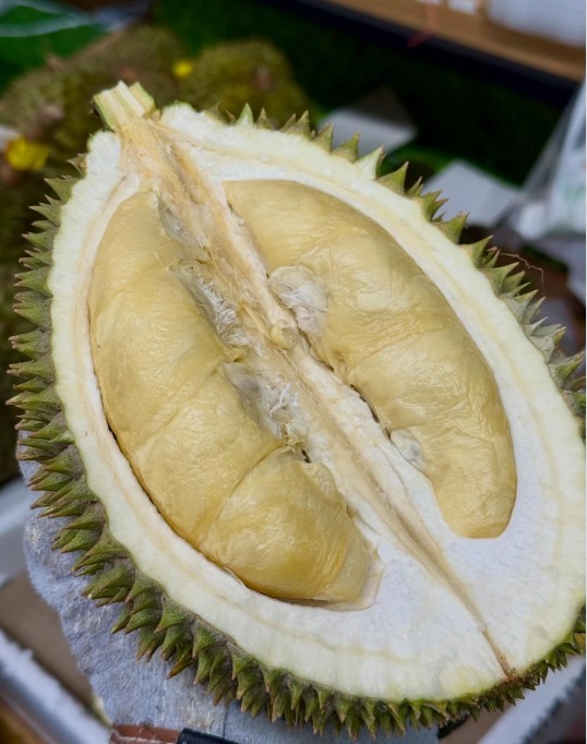 マレーシア産 完熟生ドリアン 
