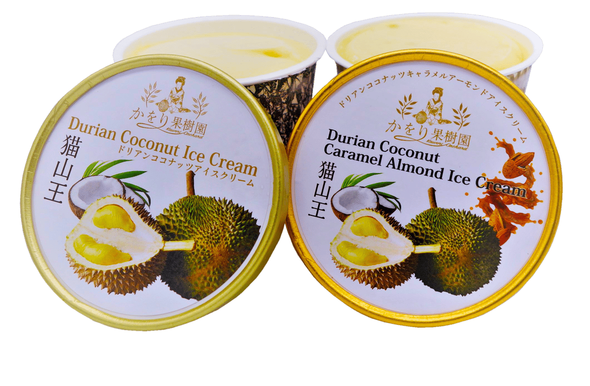 大阪・関西万博 マレーシアパビリオン展示品】ドリアンアイスクリーム6