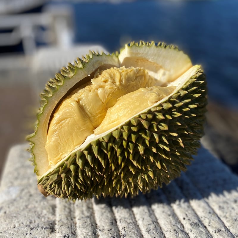 マレーシア産冷凍ドリアン「雷神」200g（送料無料 ※沖縄・離島を除く