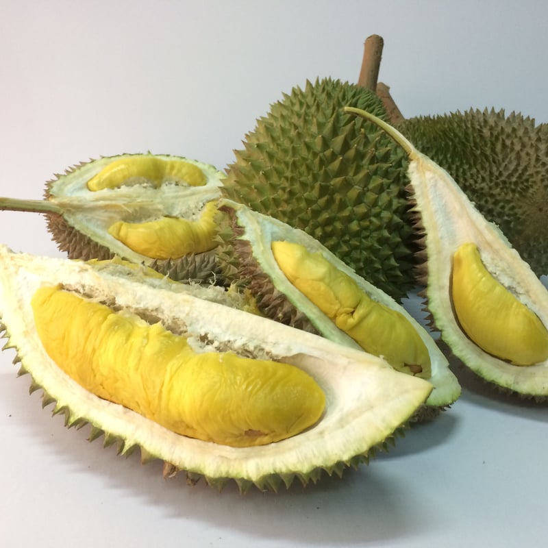 冷凍マレーシア産高級ドリアン 猫山王 200g | かをり果樹園オンライン