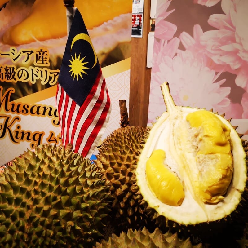 特選：約2.0kgサイズ】マレーシア産 完熟生ドリアン 猫山王 | かをり