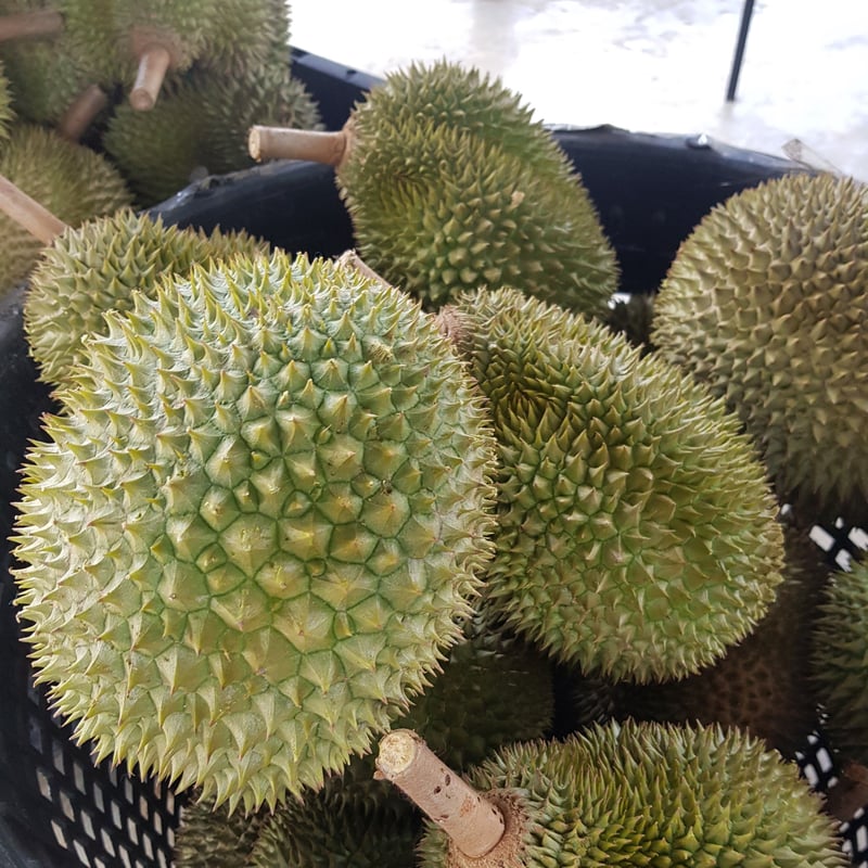 【冷凍ドリアン】Ri6ドリアン 冷凍果物500g×10Pセット 管理栄養士監修 冷凍ドリアン】Ri6ドリアン 冷凍果物500g×10Pセット 管理栄養士監修