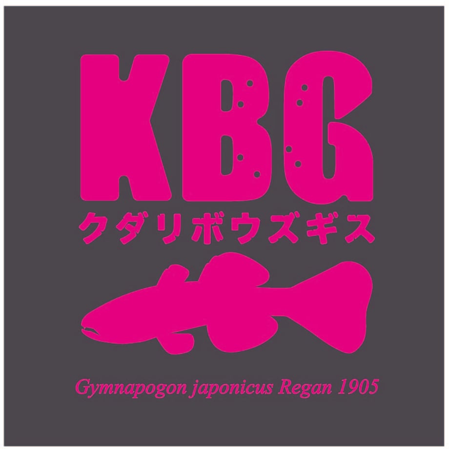 6686565c467cc70035bfaa81