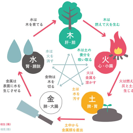 陰陽五行・体質診断セッション（2時間・陰陽五行診断資料PDF提供）