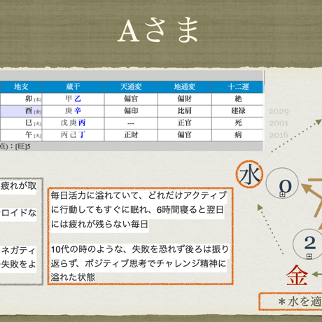 陰陽五行・体質診断セッション（2時間・陰陽五行診断資料PDF提供）