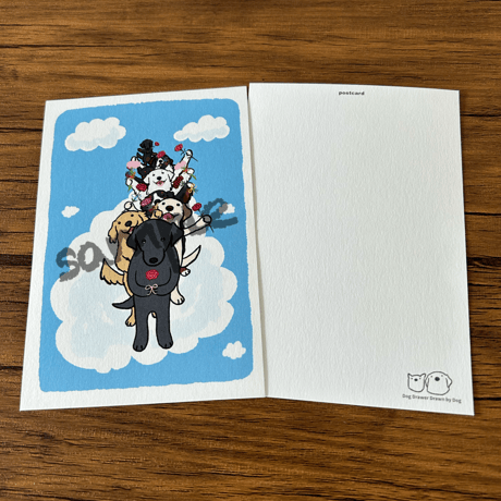 ミニチュアダックスフント | STORES