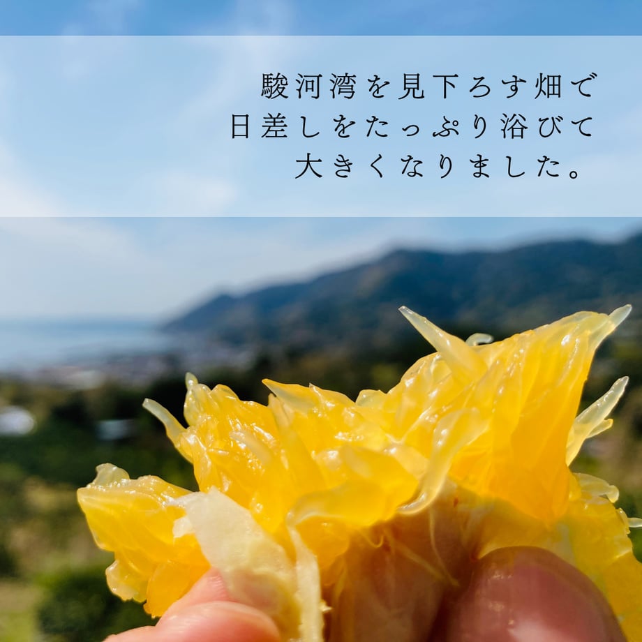 68416d63717c4223c18261a7