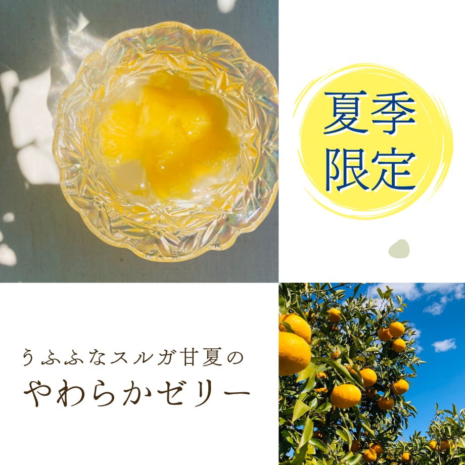 68416d63717c4223c18261a7