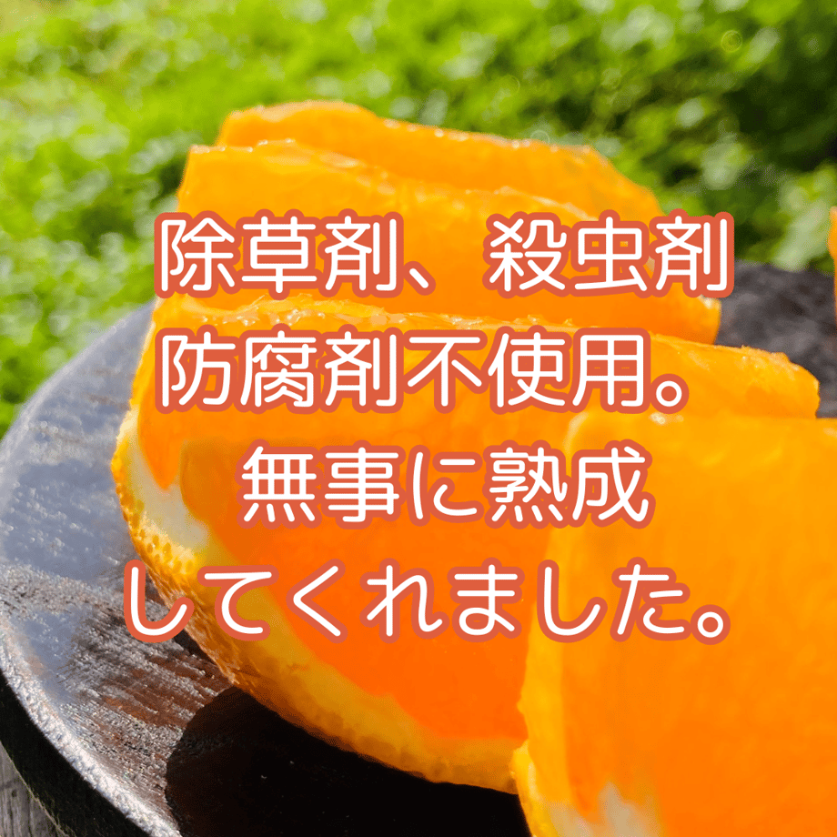67f63973af98d996a9b53c11