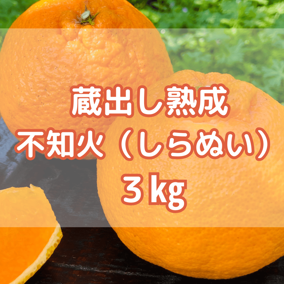 67f63973af98d996a9b53c11