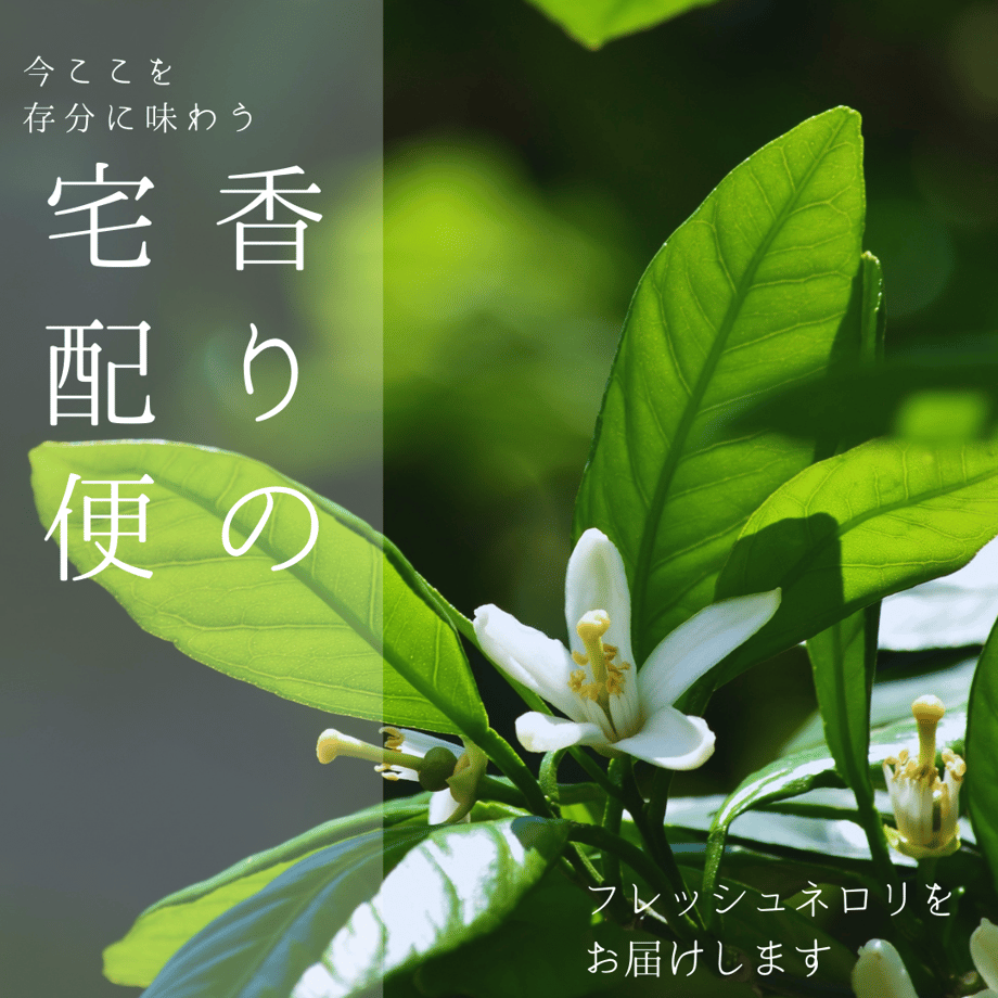 60850f77f3c5e77e239f20b7