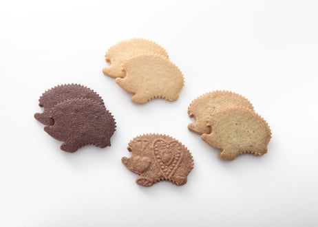 le sucreページ Le Sucre Sucre STORE