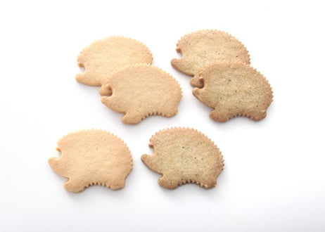 Le Sucre Sucre STORE