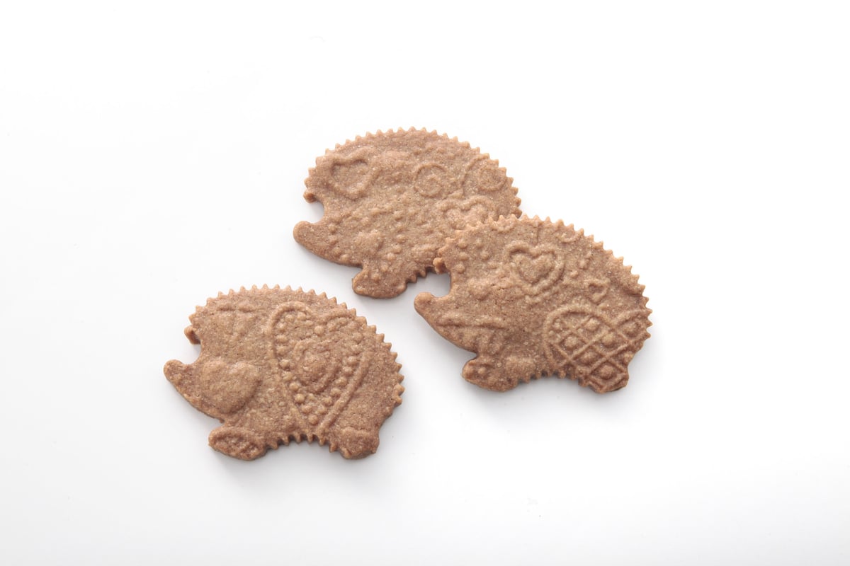 サブレママン（スペキュロス 8個入） | Le Sucre Sucre STORE