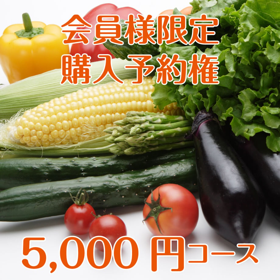 5fd07491f0b108082e045c07