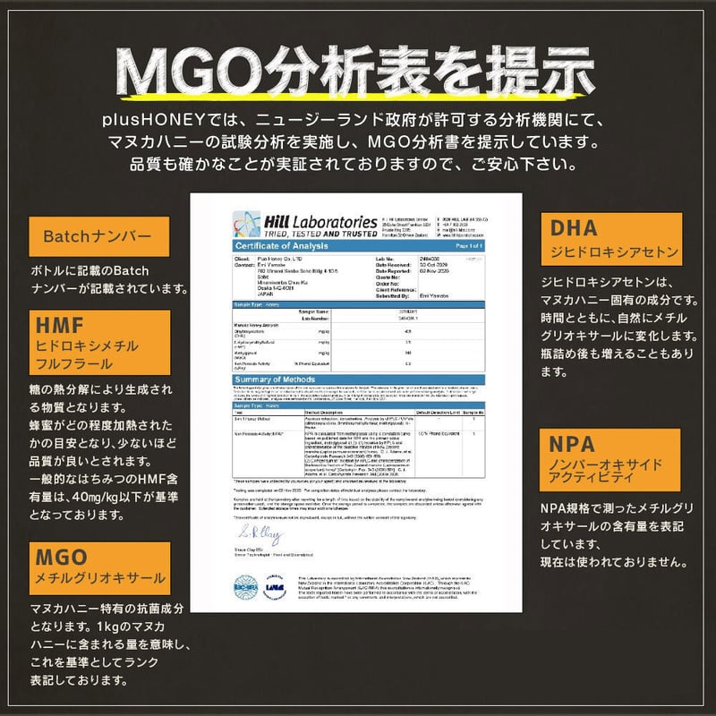 マヌカハニー MGO585+ 500g｜非加熱・無添加・生はちみつ・plusHONEY