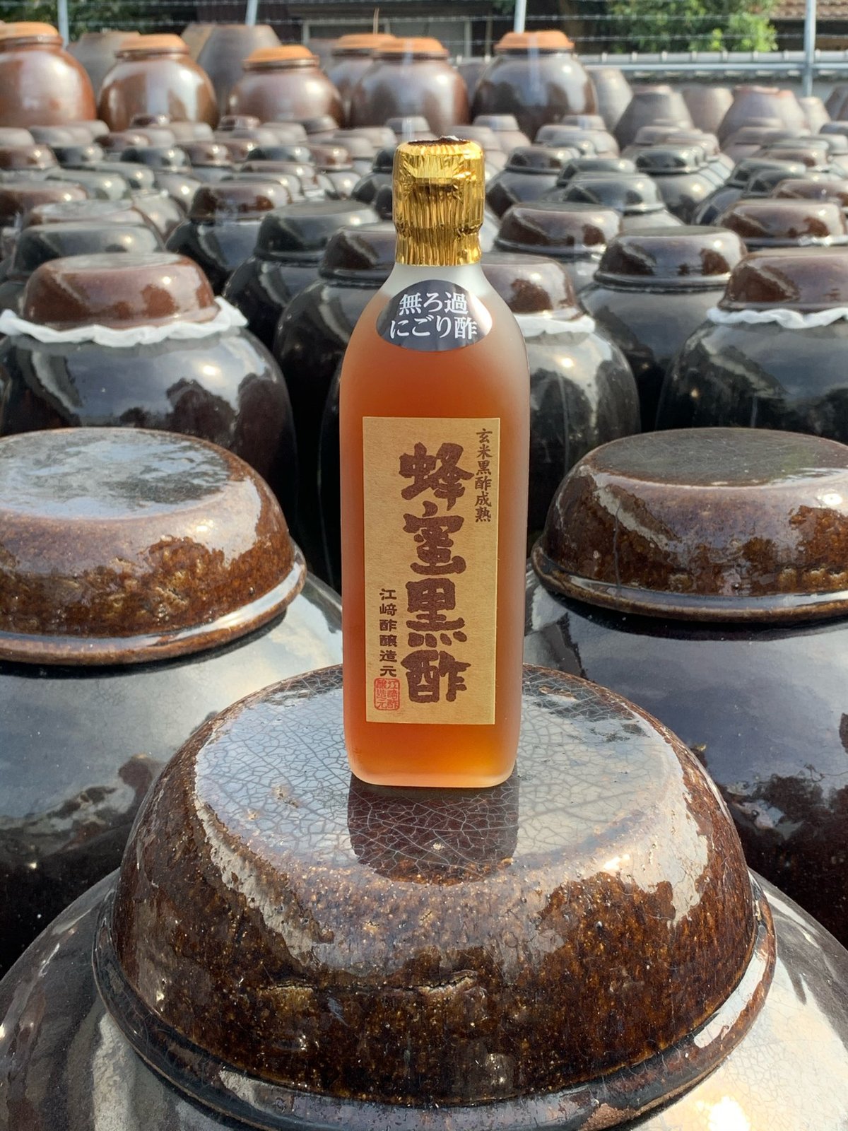 Amazon.co.jp: 江崎酢醸造元 にごり 無ろ過 蜂蜜黒酢 500ml ×2本