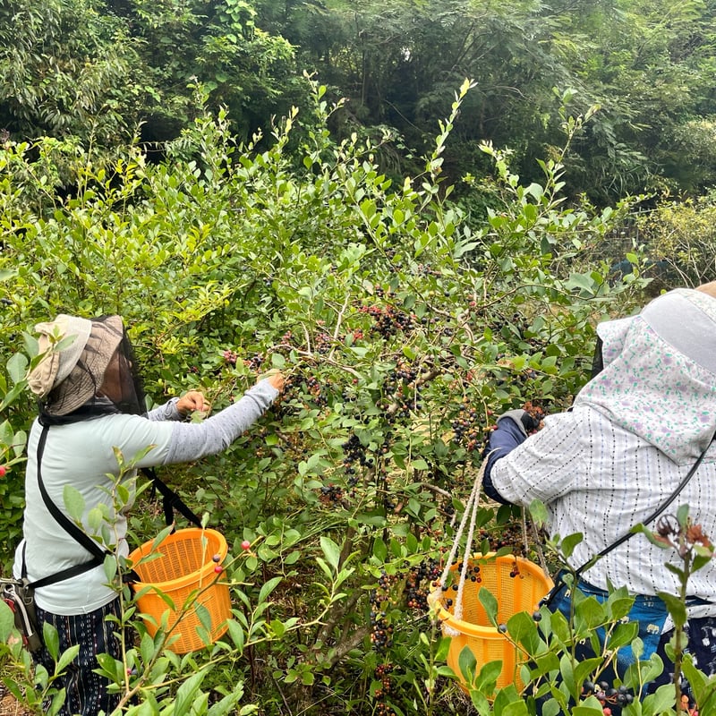 九州産 ブルーベリージャム | 江﨑酢醸造元オンラインショップ