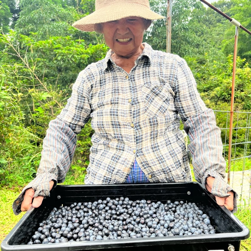 九州産 ブルーベリージャム | 江﨑酢醸造元オンラインショップ
