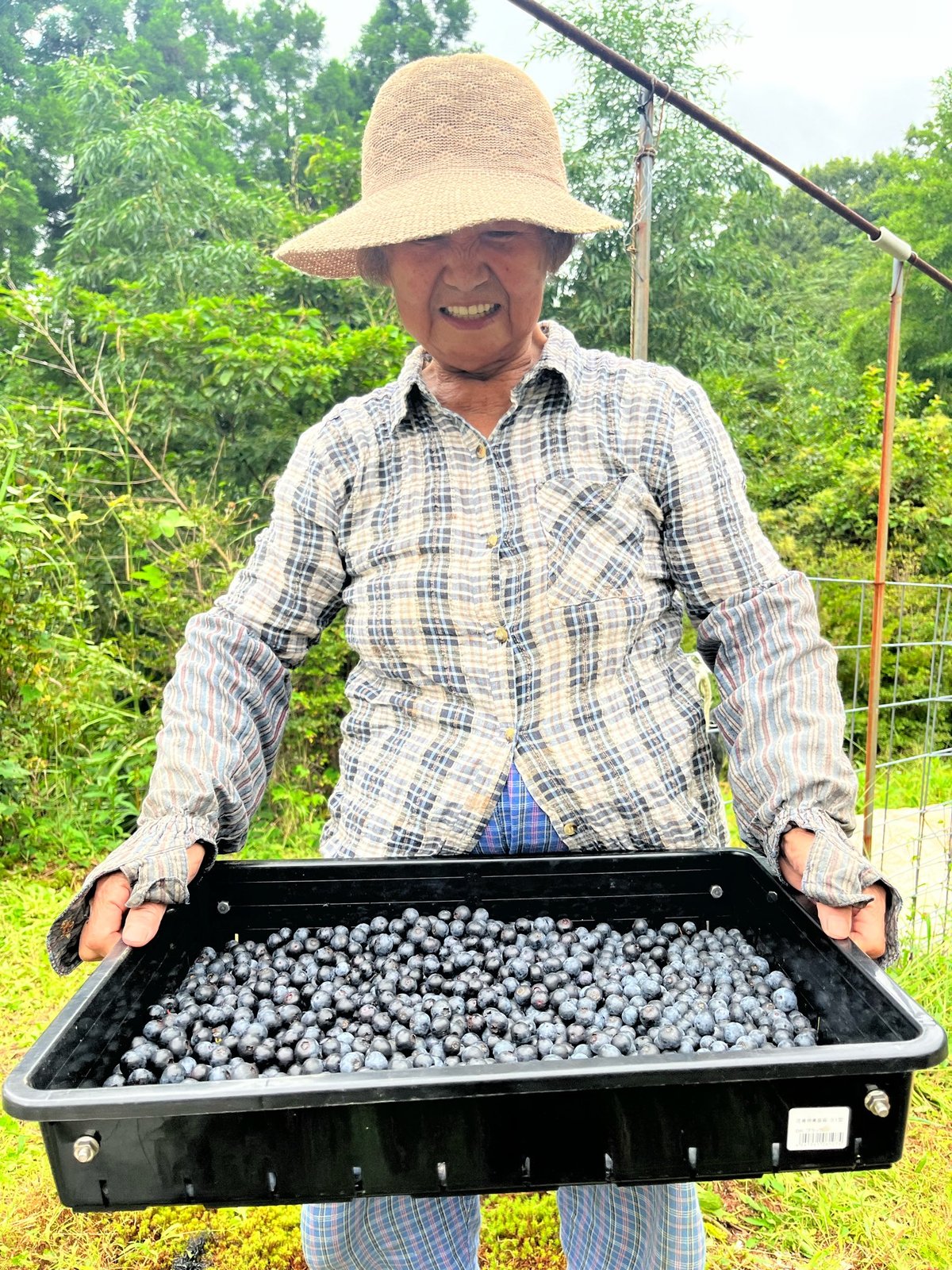 九州産 ブルーベリージャム | 江﨑酢醸造元オンラインショップ