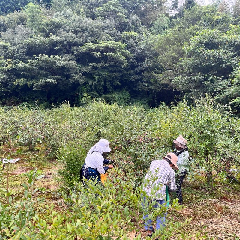 九州産 ブルーベリージャム | 江﨑酢醸造元オンラインショップ