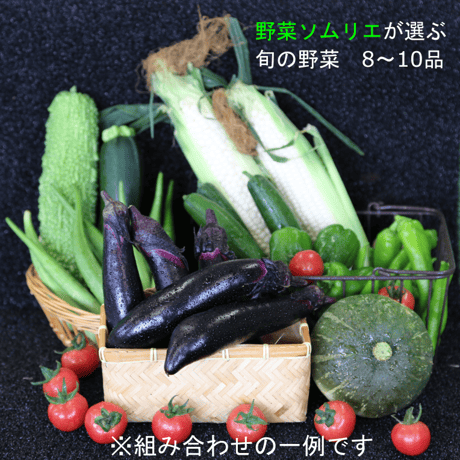 野菜ソムリエが選ぶ旬の野菜　Bセット（野菜のみ）