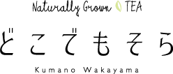 どこでもそら