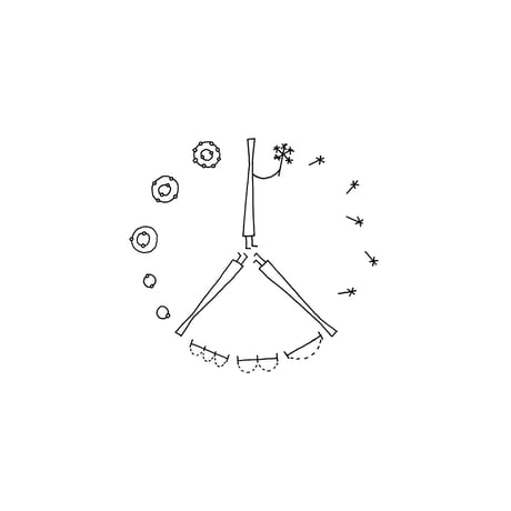 molecule / wall clock
